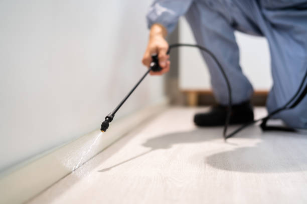 Licensed Cockroach Control service in Livingston County County, MI - Nex Pest Control