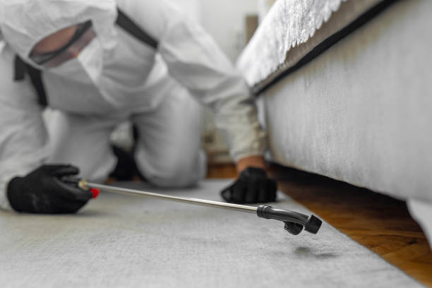 Professional Cockroach Control technician working in Livingston County County, MI
